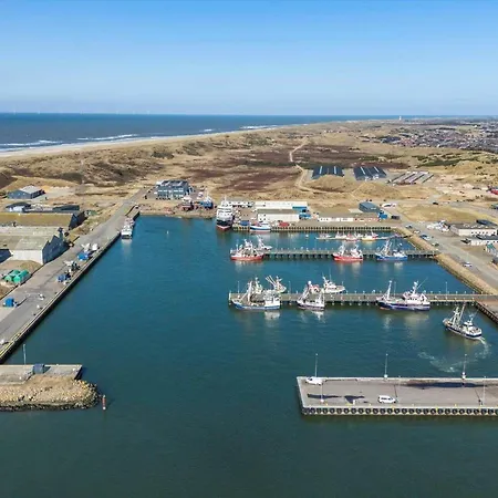 790-hvide-sande-ae-gammel-havn-49 * فيد ساندي